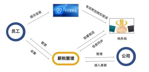 走向元宇宙的超级HR,必备的数字化人力资源工具 博尔捷DHR SaaS