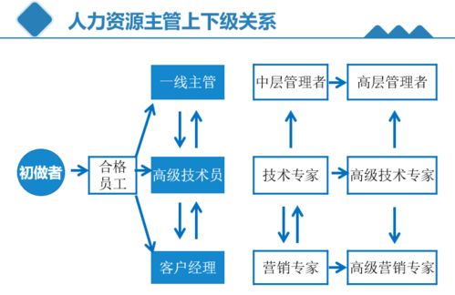 人力资源专员到总监技能地图一览表,非常详细