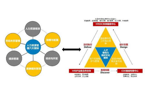 未来的战略HR管理,人力资源三支柱统筹专家 业务伙伴与服务中心