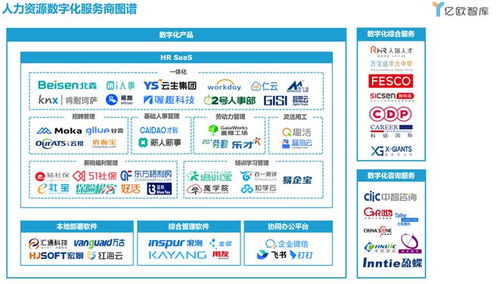 后疫情时代,人力资源数字化转型从何处下手