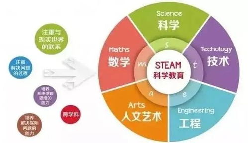 人力资源投资 教育 VS. 培训,从学知识到提技能,全面发展