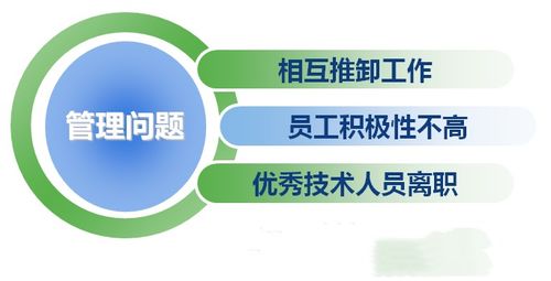 某空分设备公司人力资源管理系统诊断纪实