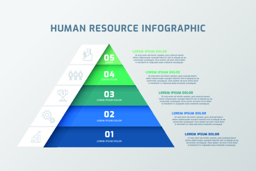 人力资源信息图表模板