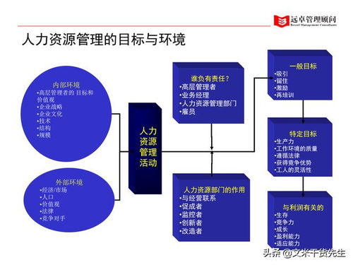 知名咨询公司客户案例 100页人力资源管理的全面提升,系统完整