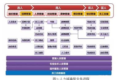 人力资源域的数据治理及标准化建设思路