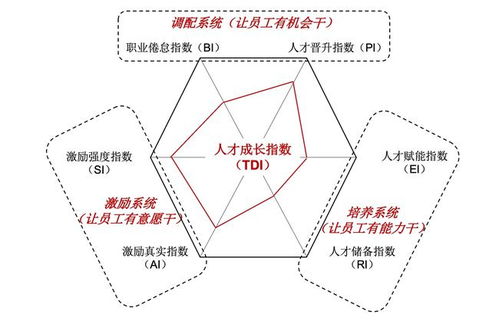 企业的人力资源管理水平,该如何衡量