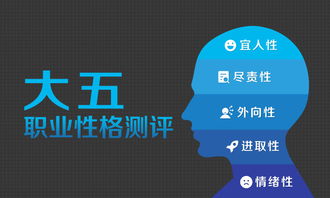 倍智 人才测评 管理咨询 培训 招聘于一体的人力资源综合服务商 官网